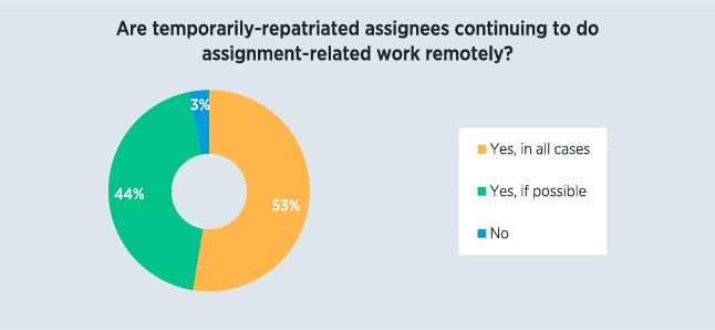 Survey Respondents - assignees working remote
